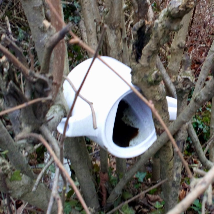 IMG_20180210_114427_148